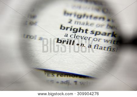 The Word Or Phrase Brill In A Dictionary