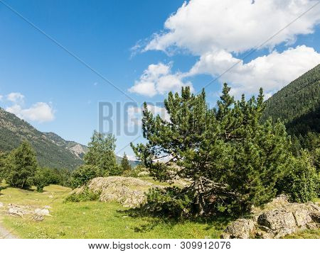 Panoramic Of The Aiguestortes And Sant Maurici National Park, Road Of The Pond Of Sant Maurici, In T