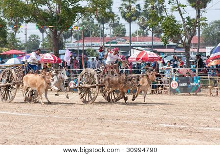 Concorso a carrello Petchaburi mucca 2012, Thailandia