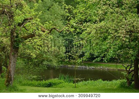Beautiful View Of Historical Small Town In Germany Wienhausen