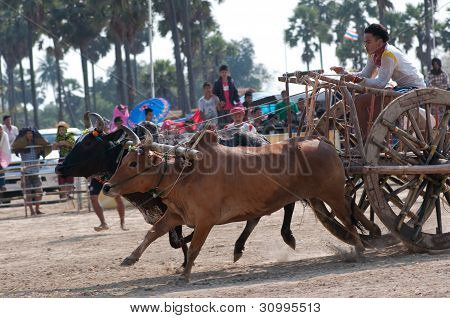 Mucca carrello Racing Festival In Thailandia