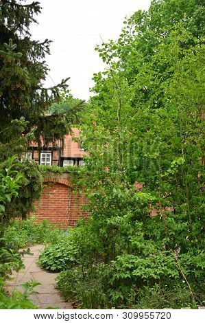 Wienhausen Small Town Germany Tree Park Flower Beautiful Pitoresc