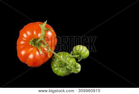 Oxheart Tomato Is A Large Beefsteak Type Tomato, Resembling An Ox Heart, Which Is A Sweet Red Fruit 