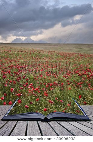 Concept creativo immagine del paesaggio papavero campo uscendo pagine nel libro magico