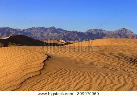 Sand Dunes In A Desert Landscape In Death Valley California.  The Vast Barren Land Is Dry And Arid D