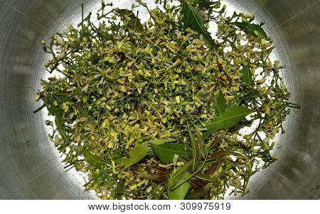 Medicinal Neem Leaves And Flower Over White Background