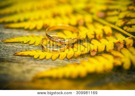 Beautiful Rings On Fall Leaves, A Wedding Ring.