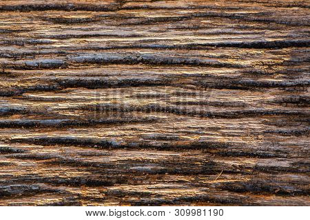 Old Wood, Beautiful Texture Of Old Wood.