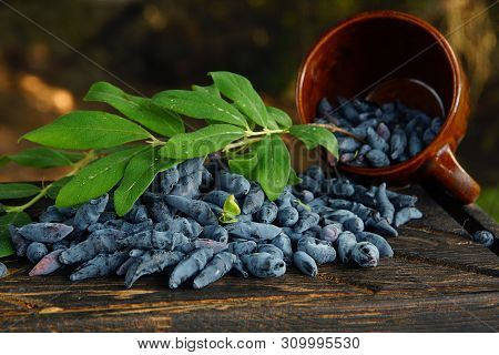 Blue Honeysuckle Berries And Old Stein On The Board