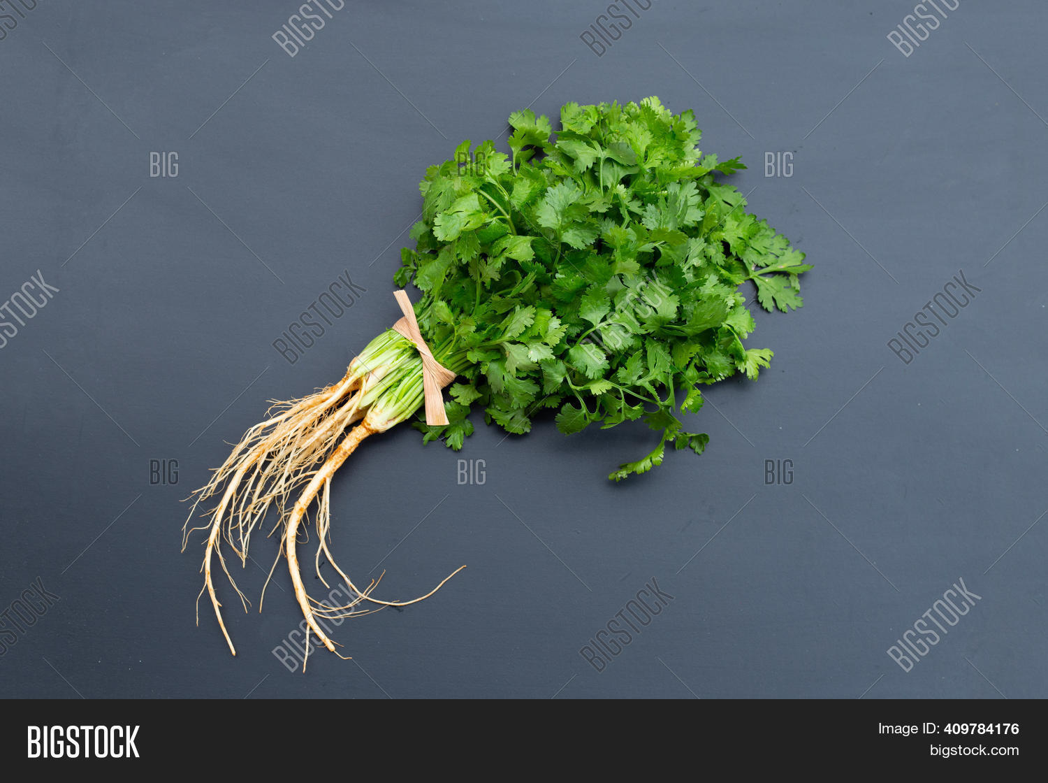 Fresh Coriander Image & Photo (Free Trial) Bigstock