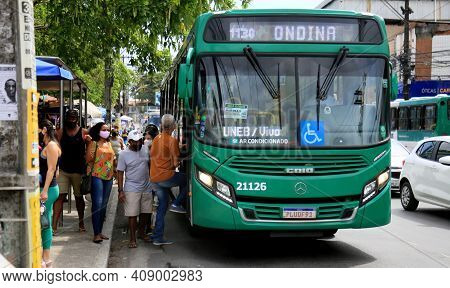 Public Transport Bus In Salvador