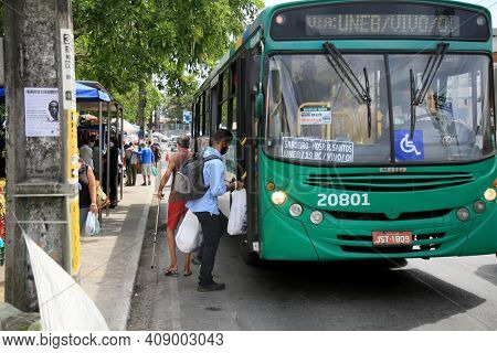 Public Transport Bus In Salvador
