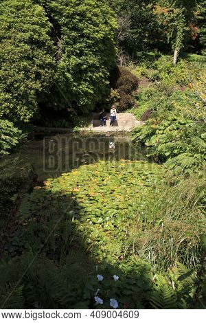 Saltash (england), Uk - August 21, 2015: Cotehele Park, Near Saltash,  Cornwall, England, United Kin