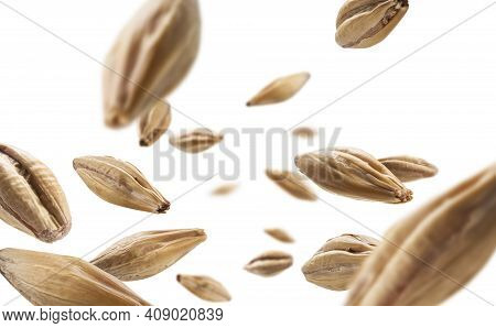 Barley Malt Grains Levitate On A White Background