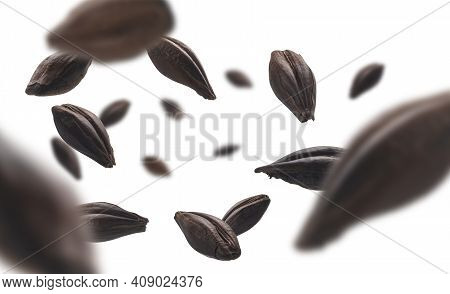 Roasted Rye Malt Grains Levitate On A White Background