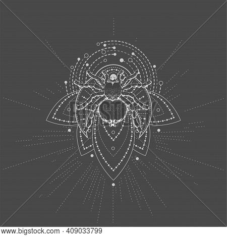 Vector Illustration With Hand Drawn Spider Tarantula And Sacred Symbol Lotus On Black Background. Ab