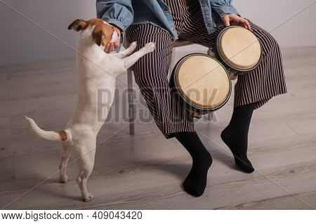 A Dog Is Standing By A Woman Playing Small Ethnic Drums