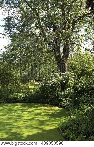 Saltash (england), Uk - August 21, 2015: Cotehele Park, Near Saltash,  Cornwall, England, United Kin
