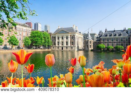 City Center Of Den Haag - Mauritshuis And With Tulip Flowers Netherlands