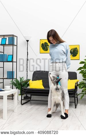 Joint Exercise When The Sitter Is Standing And Her Dog Is Resting His Paws On Her Feet. Purebred Bor