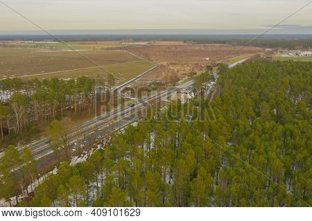 A Vast Plain Overgrown With Pine Trees. Green Canopy Of Trees. It Is Winter, The Ground Is Covered W