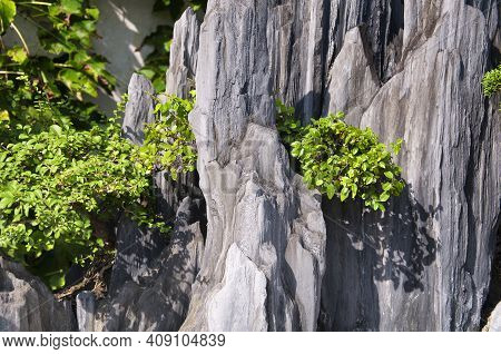 A Large Rock Formation With Azaleas Growing On It At The Lingering Garden In Suzhou China On A Sunny