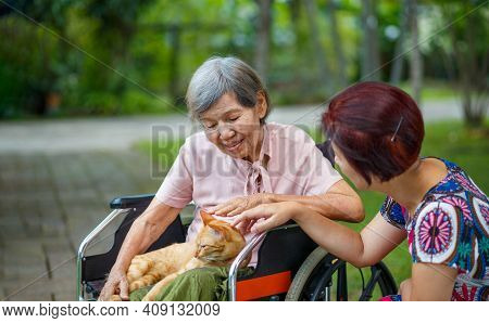 Pet Therapy For The Elderly . Pets Make Patients Healtier And Happier.