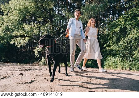 Lovely Couple Is Walking With A Black Labrodor On A Leash. Lovers Smile And Watch The Dog. A Walk In