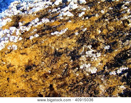 Cristales de la nieve de invierno