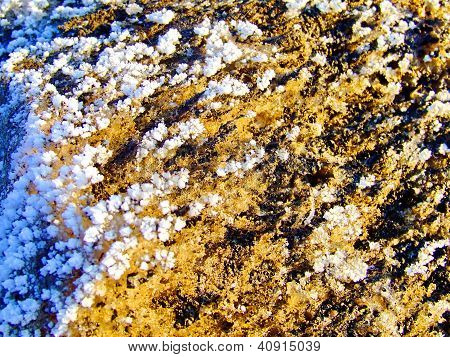 Cristales de la nieve de invierno