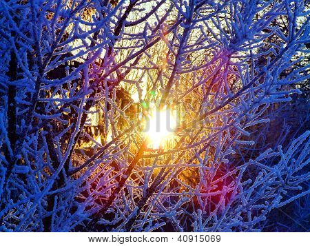 Paisaje del parque en invierno