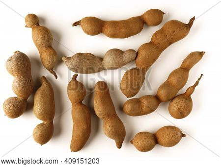Tamarind Tree Produces Brown, Pod-like Fruits That Contain A Sweet, Tangy Pulp