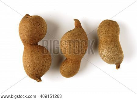 Tamarind Tree Produces Brown, Pod-like Fruits That Contain A Sweet, Tangy Pulp