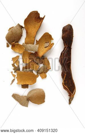 Tamarind Tree Produces Brown, Pod-like Fruits That Contain A Sweet, Tangy Pulp