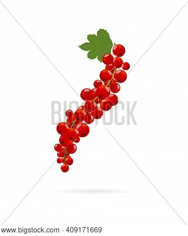 Red Currant On Cluster With Eaf. Vector Illustration On White Background In Cartoon Flat Style