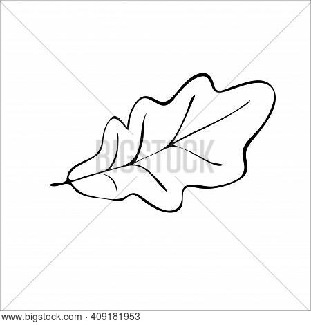 Leaf Oak Tree Vector Art Illustration Icon