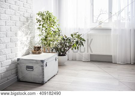 White Wooden Box And Ficus Plants In White Flower Pots In The Interior Of The Living Room In Light C