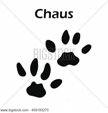 Chaus Footprint. Black Silhouette Design. Vector Illustration.