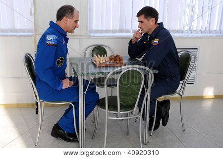 Playing Chess