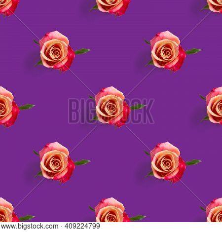 Rosebud Seamless Pattern. Head Of Rose Bloom Isolated On Purpule Pattern, Pop Art