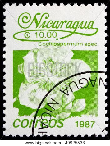 Postage stamp Nicaragua 1987 Cochlospermum Speciosa