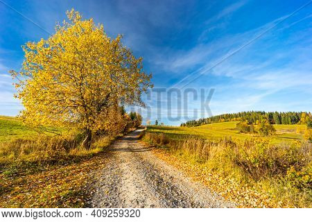road with autumn tree near saddle Beskyd in Slovakia