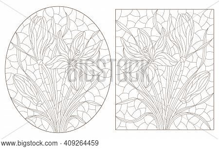 Set Of Contour Illustrations In Stained Glass Style With Hyacinth Flowers, Dark Outlines On A White 