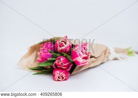 Beautiful Tseti Tulips On A Gray Background