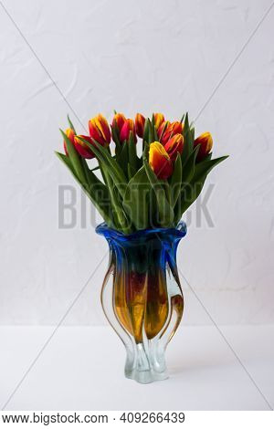 Beautiful Tseti Tulips On A Light Background