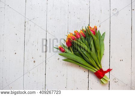 Beautiful Tseti Tulips On A Light Background