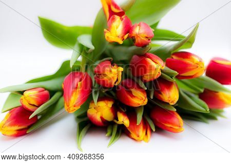 Beautiful Tseti Tulips And Roses On A Light Background