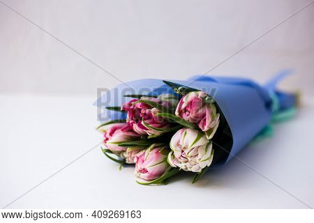 Beautiful Tseti Tulips On A Light Background