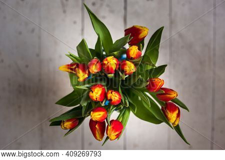 Beautiful Tseti Tulips On A Light Background