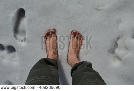 Walking Through The Snow Without Boots. First Take Off Your Socks And Then Come Across The Snow Cove